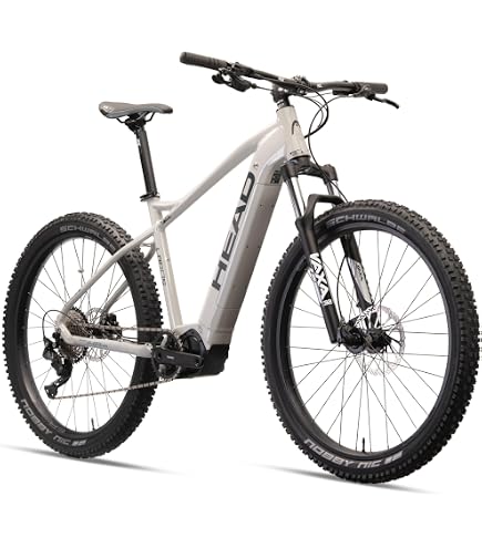 Remington XR01 E Bike Mountain Bike 29 Inch for Men and Women 165-190 cm  Ebike 504 Wh Battery Bicycle Electric MTB 18 Speed Pedelec 25 km/h  (Grey/Beige with Mudguard and Light, 48
