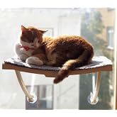 ATA HOME Yeni Dizayn L&uuml;x Cam Ve Duvar İ&ccedil;in Kedi Yatağı Vantuzlu