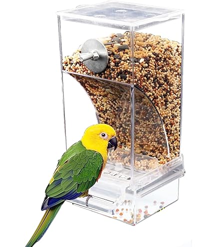 Mangeoire automatique pour oiseaux sans désordre - Mangeoire pour cage à oiseaux - Mangeoire