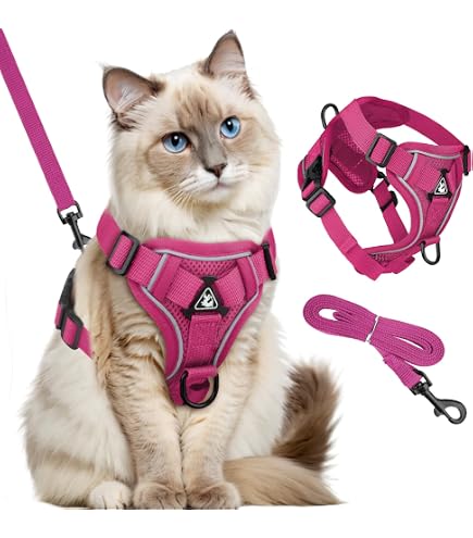 Pettorina E Guinzaglio Per Gatto A Prova Di Fuga BEAUTYZOO – Regolabile Con 5 Clip, Riflettente, Traspirante, Taglie S/M Per Gatti E Cuccioli