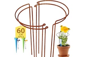 KAZITOO 4 Stück Große 60cm hohe Rostige Bogen-Pflanzenstütze, halbrund Rost-Blumenstütz-Ringkäfig-Rahmen mit 2 selbstbewässernden Spikes, Gartenumrandung für Pfingstrosen, Hortensien(60x30cm)