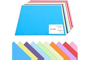 TOWNSTIX 50 Feuilles, 120g - Papier Cartonné Couleur A3, Feuille Cartonnée Coloré - 10 Couleurs