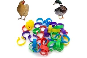 DHER Un pacchetto di 40 cavigliere di pollame di 5 colori, Anelli Di Pollo anelli per anatra Fascia anelli per gambe cavigliere da 20 mm sono convenienti per marcare polli, anatre facile installare