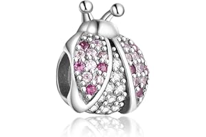 Jokmeo 925 Sterling Silver Women's Charm Beads Compatible with Pandora European Bracelets and Necklaces. Fits Women and Girls.F1