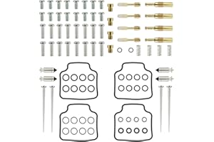 TIKSCIENCE 4Pcs Carburetor Repair Kit, Fit for Honda Cb750 Nighthawk 750 1991 1992 1993 1994 1995 1996 1997 1998 1999 2000 2001 2002 2003