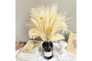 HILEYU 70 pezzi Set di piante per erba di Pampa,40-45 cm Fiore di erba di pampa essiccato naturale fiori secchi decorativi Decorazione di erba di canna di erba secca per matrimoni,feste,decorazioni Boho