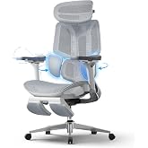 Hbada E3 Pro Ergonomic Office Chair &ndash; Dynamic Lumbar Support with 3 Zones, 4D Headrest and 6D Arms, Ergonomic Desk Chair with