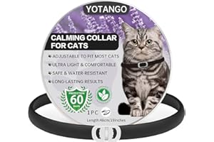 YOTANGO Collier Apaisant pour Chats, Collier Calmante pour Chat Imperméable, Naturel Collier Anti-Anxiété Chat Réglable de 60 Jours, Collier Calmant aux Phéromones pour Chats Chatons Grandsen Noir