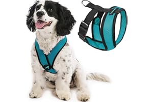 Gooby Comfort X Head in Harness - turkusowa, XL - uprząż dla małych psów bez ciągnięcia, opatentowana ramka X bez duszenia, uprząż dla średnich psów bez ciągnięcia, dla małych psów do użytku wewnątrz