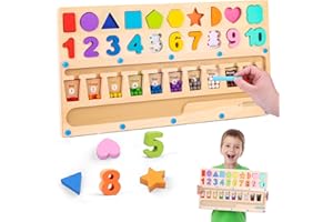 LZDMY Magnetspiel ab 2 Jahre, 3in1 Montessori Spielzeug 3 4 5 6 Jahr, Baby Labyrinth Farb Sortierspiel Motorikspielzeug Vorschul Holzspielzeug Kinder Weihnacht Geschenk Mädchen Jungen