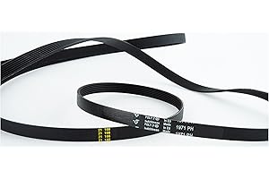 LORTECH Cinghia 1971 H7 Asciugatrice