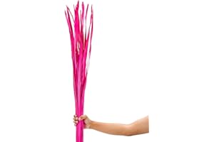 Leewadee Dekobündel für Bodenvasen Trockengesteck Dekogras Dekozweige, Palmblatt, 120 cm, Pink