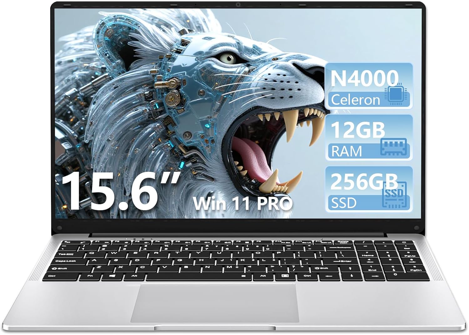 15.6 Pulgadas Ordenador Portatil, Win 11 PC Portátil Celeron N4000 CPU, Portátil con 12GB LPDDR4 256GB SSD, 1920*1080 IPS FHD Pantalla Laptop, TF Card Slot expansión hasta 1 TB, Mini HDMI+BT4.2