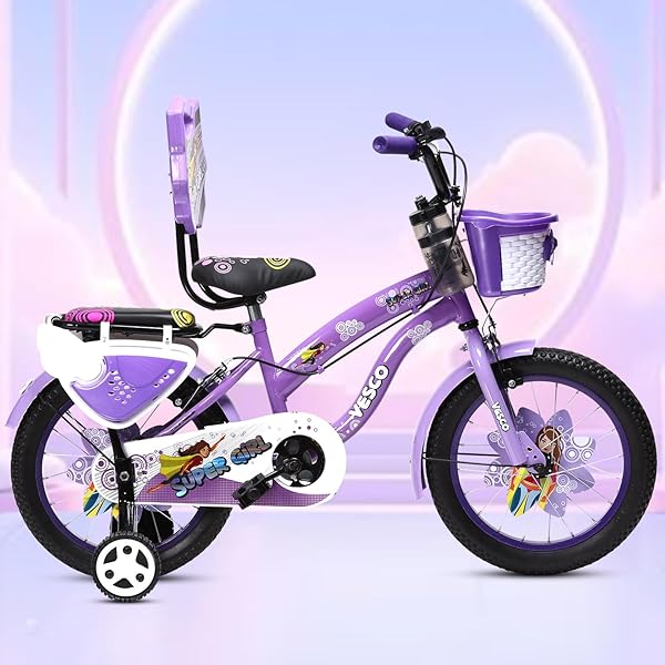 Buy Fatboy Mini BMX in PRO Model with 3pc Crank or Assault Model