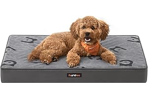 Feandrea Cuccia per Cani, Lettino per Animali, Gommapiuma Preformata Ondulata, con Maniglia, Sfoderabile, Uso a Doppio Lato, Impermeabile, Taglia M, 76 x 51 x 8 cm, Grigio Tortora PGW241G01