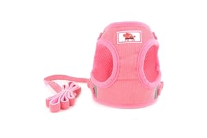 Zunea Pettorina e guinzaglio per cani di piccola taglia, regolabile, riflettente, in morbido velluto a coste per cuccioli, Chihuahua, gatti