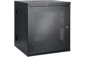 Tripp Lite 10U Wall Mount Rack Enclosure Server Cabinet Hinged Wallmount (SRW10US)