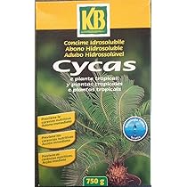 Concime Cycasana 0.75kg Per Cycas E Piante Tropicali - Bicomponente Con Zolfo Correttivo - Foto 3
