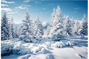 Winter Schnee Hintergrund 300x200cm Kiefer Wald Schnee Berg verschneit Landschaft Fotografie Hintergrund Winterurlaub im Freien Wald Schnee Hintergründe für Weihnachten Dekor