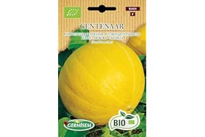 Germisem Bio Graines Potiron Quintal jaune CENTENAAR