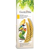 Gardenmix Platin Sarı Dal Darı