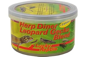 Lucky Reptile Herp Diner Mélange de Gecko léopard