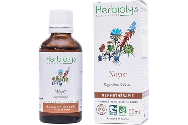 Bourgeons bio Noyer - Juglans regia