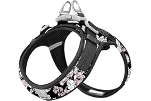 WINHYEPET Truelove Dog Harness Soft Mesh Reflective Breathable Step-In Dog Harness,Easy Adjustment Harness with Safety Buckle for Extra Small and Small Dogs, Vest Harness TLH3013(Flower Black,M)