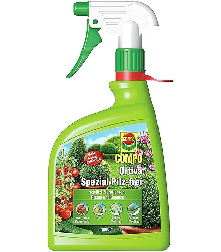 LERAVA® Kupfer-Schwefel Fungizid Spray 700ml – Gegen Mehltau An Rosen, Weintrauben & Obst, Mit Eisen & Mangan