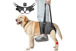 SlowTon Arnés de Soporte de Patas traseras para Perros medianos y Grandes - Cómodo arnés de elevación de Perros Ajustable para Ancianos lesionados y discapacitados Rehabilitación
