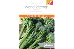 FASH LADY Portal Cool Johnsons mundo Brócoli vegetal Tenderstem inspiración F1 20 semillas