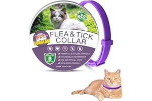 SURGLAM Cat Flea and Tick Collar, Flea Treatment Cat Purple, 8 Months Effective Protection Waterproof Adjustable Cat Flea Collar Natural Safe Flea Tick Treatment for Kittens Cats Puppies Purple 15.7 in Long