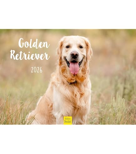 Hundezauber Golden Retriever DIN A3 Kalender für 2026 Welpen und Hunde - Seelenzauber Hundezauber Golden Retriever DIN A3 Kalender für 2026 Welpen und Hunde - Seelenzauber