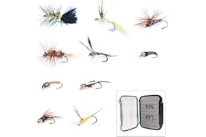 MAXIMUMCATCH Fliegenfischen 10 Stücks Fliegen mit Fliegenbox Nass und Trocken Fliegen, Nymphen Streamer Kunstköder Fliegen