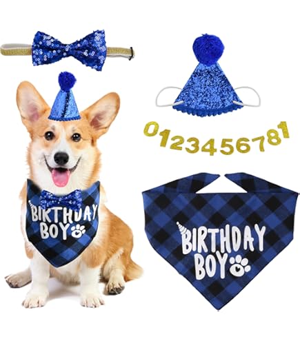 Set Compleanno Cane | Cappello E Bandana Con Numeri Glitter | Accessorio Festa Animali | Taglia Unica Regolabile - Foto 4