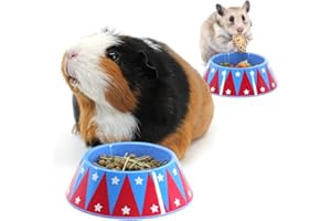 HAYPIGS Guinea Pig Bowl - Circus Themed Junior FOOD CRAVING TAMER Mini Guinea Pig Food Bowl - Hedgehog Bowl - Hamster Bowl - Small Animal Food Bowl