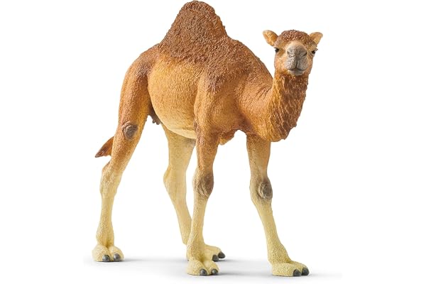 schleich WILD LIFE | Dromedar 14832 | realistisk djurfigur i detalj | zoo-leksak för barn | perfekt present till flickor och pojkar | dekoration till kalas