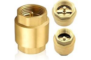 BEATIFIC Clapet anti-retour en laiton de 1" avec filetage intérieur DN25 universel avec filetage intérieur des deux côtés, clapet anti-retour vertical en laiton 1"