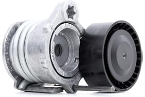 INA 534 0331 10 Braccio tenditore Cinghia Poly-V