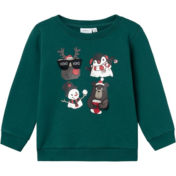 Sweat-shirt Garçon NAME IT - Manches Longues, Col Rond, Coupe Loose - 100% Coton, Confortable - 9
