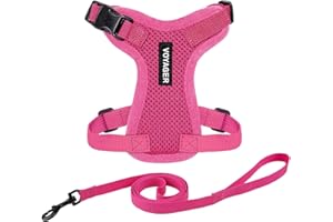 Voyager Step-in Lock Cat Harness and Reflective Cat Leash with Neoprene Handle by Best Pet Supplies - Supports Small, Medium and Large Breed Cats, Fuchsia, size XXXS - 5ft