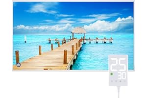 Hocosyme Pannello Radiante Infrarossi 800W, Temperatura Massima può Taggiungere i 120 Gradi Celsius Entro 3 Minuti - con Termostato Touch - 14 Anni di Garanzia - Certificazione TÜV - Porta