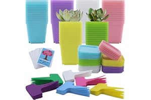 JRSHIRLEYLTD 66 Macetas de 7 cm de Plástico con Plato - Mini Contenedores para Semillas y Suculentas de Colores