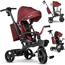 LIONELO Kori 2in1 Pushchair Three wheeler for Kids from 18 months ...