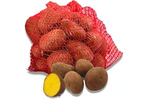 FRUCHTVERSAND24® Speisekartoffeln Laura 5kg | lecker und cremig im Geschmack | sehr gelbfleischig | vorw. festkochend | für Ofenkartoffeln, Pommes Frites, Salzkartoffeln, Wilde Kartoffeln