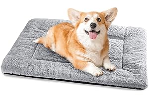 BaoDan Cuccia Cane Interno Piccolo Grande, 75x50x5cm, Letto per Cani Sfoderabile e Lavabile, Cuscino Cane Impermeabile, Base Antiscivolo, Grigio