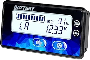 Runleader DC12V 24V 36V 48V Mini indicatore batteria Voltmetro per piombo acido LiFePO4 Batteria al litio Carrello da golf alimentato Carrello elevatore Tosaerba Lavapavimenti Camper, ecc.