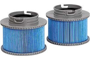FFyan 2 Pièces Cartouches de Filtres de Piscine pour Filtre Spa, Pompe à Cartouche Filtrante pour MSPA FD2089 Remplacement des Filtres pour Piscine, Hotsubbs et Spas