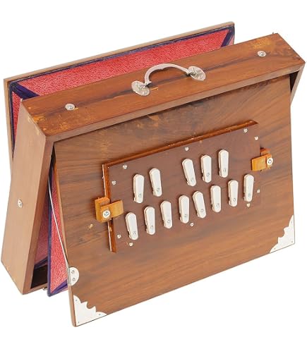 Shruti Box En Bois De Teck - 13 Notes Accordées 432Hz - Instrument Musical Indien Avec Sac