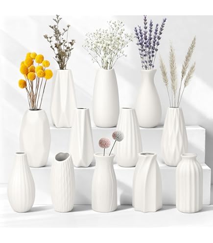 Napormot Keramische vaas, kleine vazen voor decoratie, set 3 moderne boho- vazen voor bloemenpampa's, geschikt voor woonkamer bureau plank decor (wit